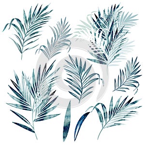 Big vector collection of palm leaves in watercolor style