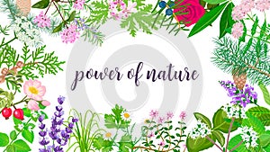 Big vector set of beautiful flowers and plants. Ornament with text power of nature photo