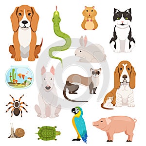 Big vector set of different domestic animals. Cats, dogs, hamster and other pets in cartoon style