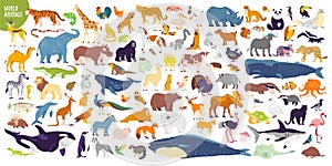 Big vector set of different world wild animals, mammals, fish, reptiles and birds. Rare animals. Funny flat characters, good for b