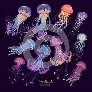 Big vector set of glowing jellyfish