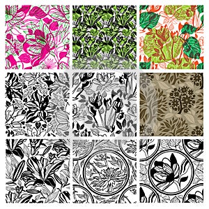 Big vector set of stylish floral backgrounds