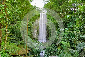 Big Vertical Waterfall in the Rain Forest