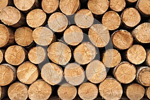 Big wall of stacked wood logs showing natural discoloration