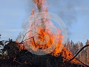 big walpurgis night fire in Sweden