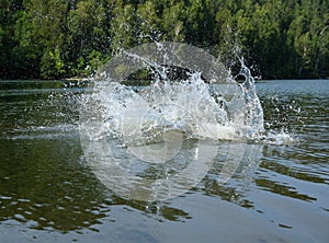 Big water splash in lake
