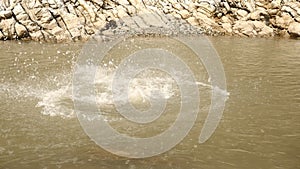 Big water splash in the lake after dropping stone