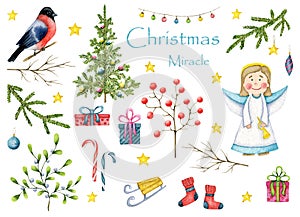Big watercolor set `Christmas Miracle`. Christmas angel, cute bullfinch, tree, mistletoe, sprig of viburnum, gifts, stars, stockin