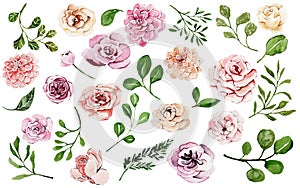 Big watercolor set of delicate pink flowers and green leaves, floral elements