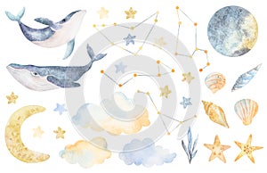 Big watercolor set with whales, constellations, moon, stars, clouds. Hand made illustrations clip art. Design, baby