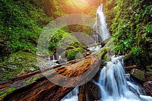 Big Waterfall, Beautiful waterfall in the tropical forest