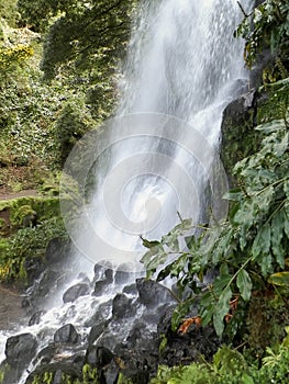 Big waterfall at Botanical Garden of Ribeira do Guilherme, São Miguel Island, Azores