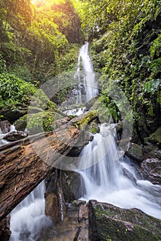 Big waterfall in deep rain forest