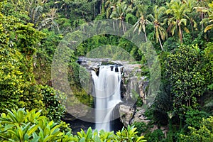 Big waterfall in exotic tropical forest