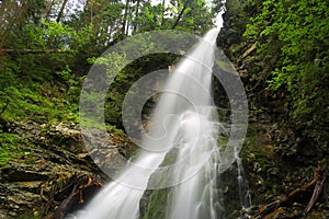 Waterfall in green forest