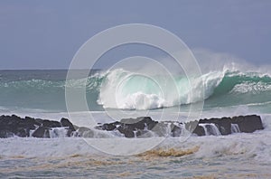 Big Wave, North Shore Oahu, Hawaii