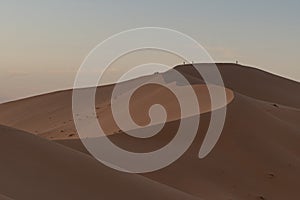 Big wave of a sand dune and beautiful sunset of desert landscape in Sahara, Taghit