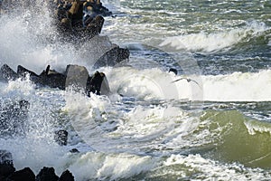 Big waves breaking on breakwater during storm in baltic sea