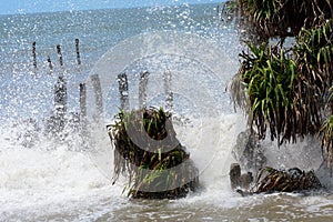 Big waves crushing on shore of a tropical island trees during a storm. Stormy sea weather. Power in nature background. Taken