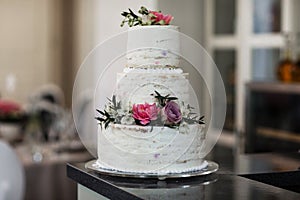 Big wedding cake
