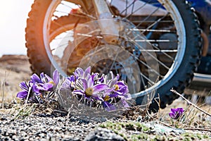 Big wheel motorcycle outdoors