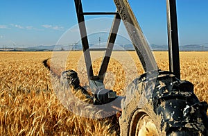 Big wheels of an irrigation machine a circular track.