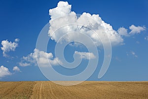 Big white cloud float in the blue sky above field