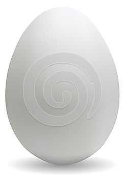 Big white egg