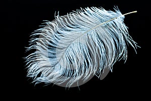 Big white feather on black background