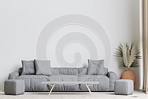 big white living room.interior design,dark grey sofa,wooden table,floral in vase,carpet ,wall for mock up