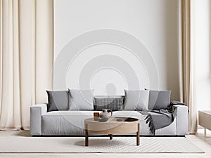 big white living room.interior design,grey sofa wall for mock up