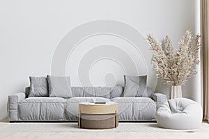 big white living room.interior design,grey sofa,wooden table,carpet ,wall for copy space