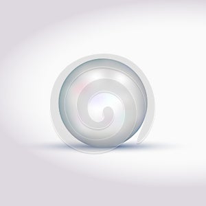 Big white pearl with shadow. Vector illustration