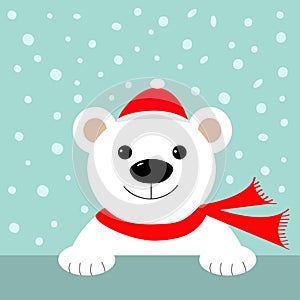 Big white polar bear in santa claus hat and scarf. Merry Christmas Greeting Card.