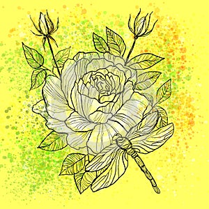 Big white rose with dragonfly linear pattern on yellow background