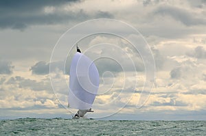 Big white sail with spinnaker on