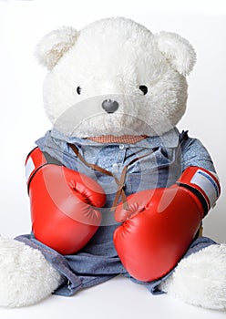 Big white Teddy Bear wear the boxing glove