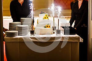 Big white weddin cake decorate sunflowers ladybird and firework