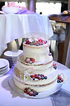 Big white wedding cake