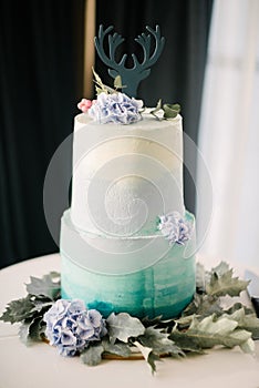 Big white wedding cake with fruit is on the table