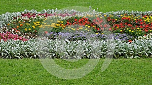 Big wide flowerbed with various flowers among green grass