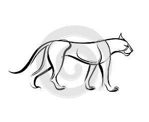 Big wild cat. Cheetah line vector illustration.