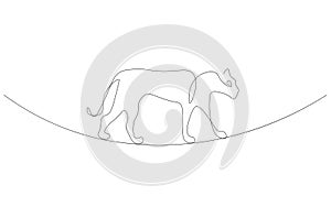 Big wild cat lion continuous line drawing, vector illustration photo
