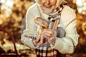 Big wild mushroom in the hands of a woman.