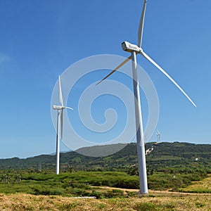 Big windmill, white ones