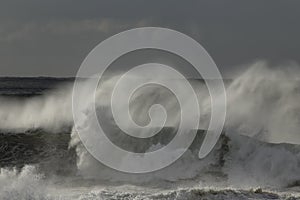 Big windy breaking waves