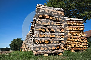 Big wood pile in front of a tree and blue sky