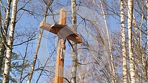 Big Wooden Cross is Standing among the Trees on the background of Blue Sky