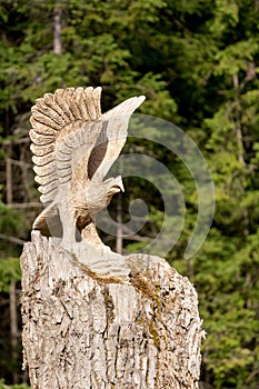 Big wooden eagle statue