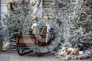Big wooden sleighs and Christmas trees with snow in the middle of the city.